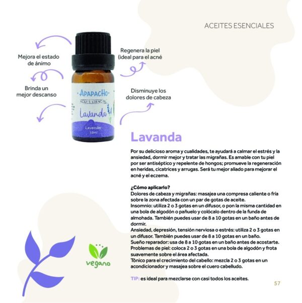 esencia lavanda apapacho