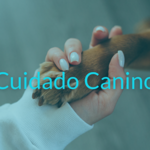 Cuidado Canino